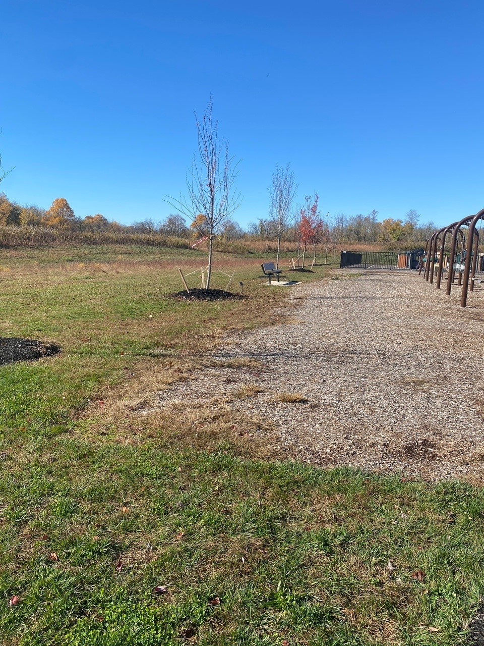 Warwick Township Tree Planting Project and Grant Warwick Township