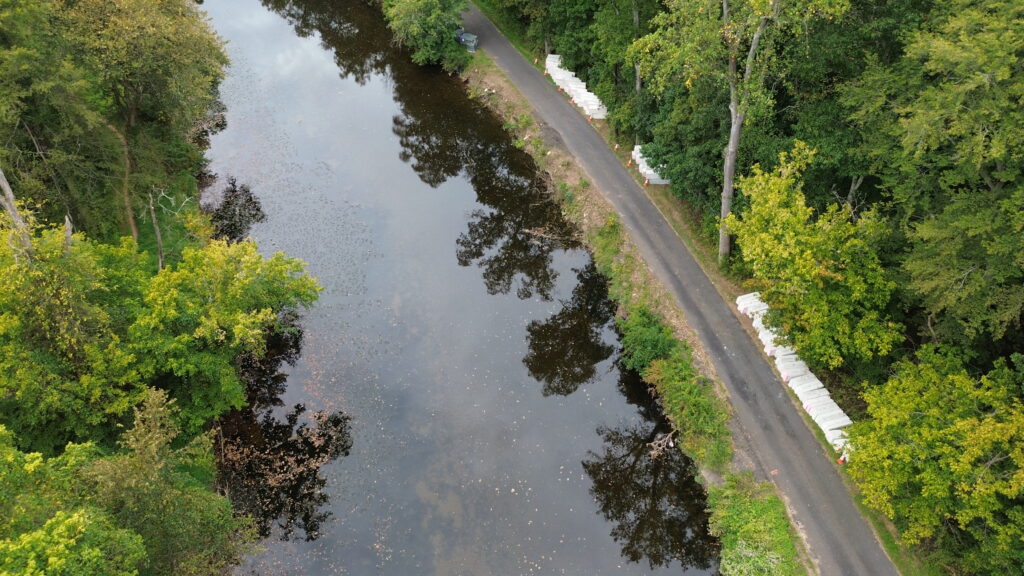 Walton Road streambank before photo